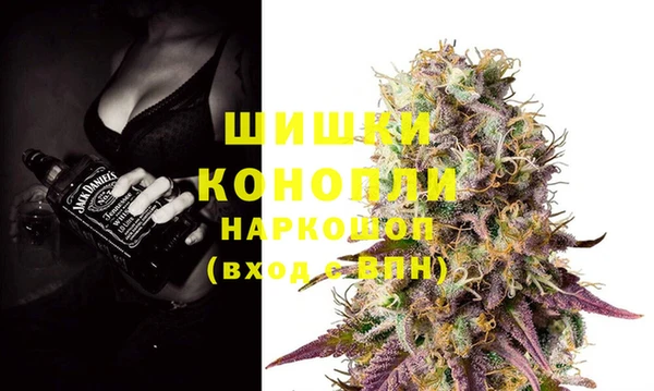 PSILOCYBIN Лиски