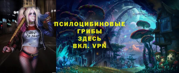 МДПВ Ладушкин