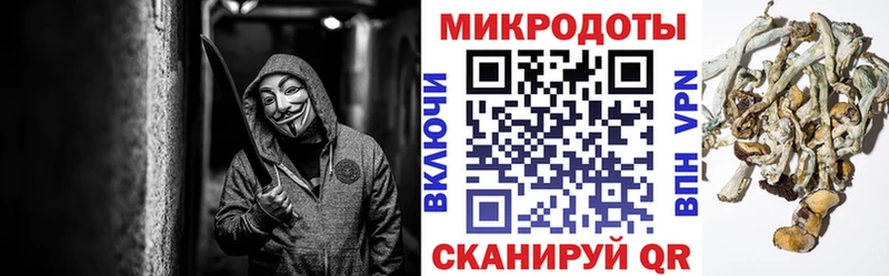 Галлюциногенные грибы мухоморы  Подпорожье 
