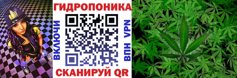 Канабис SATIVA & INDICA Подпорожье